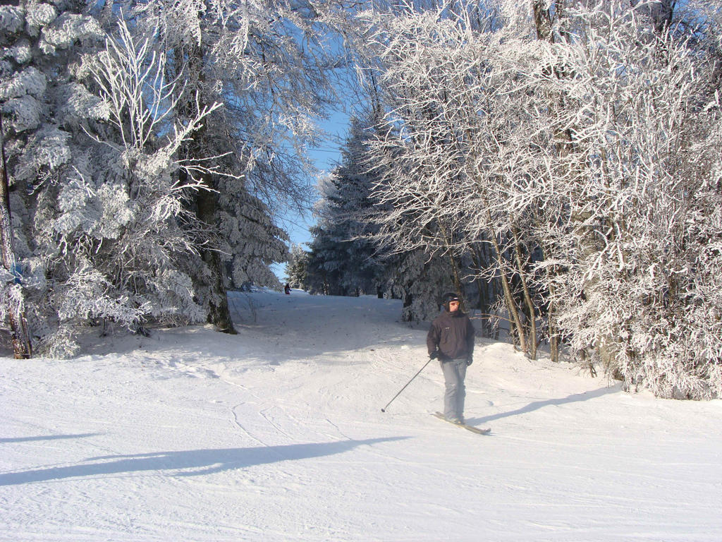 Gite Plein Sud Metzeral Buitenkant foto